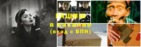 хмурый Аркадак