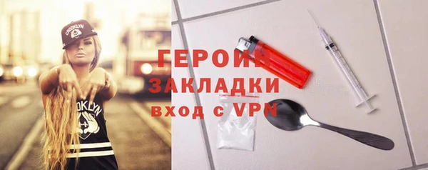 хмурый Аркадак