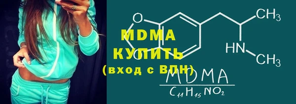 хмурый Аркадак