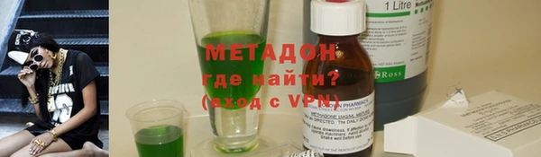 хмурый Аркадак