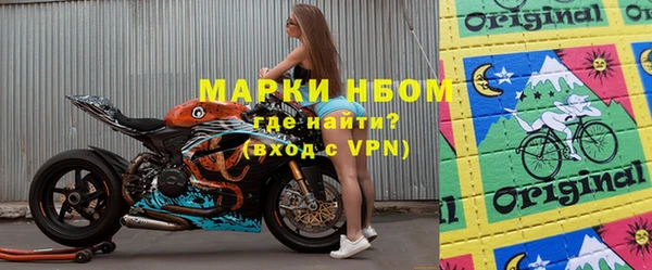 хмурый Аркадак