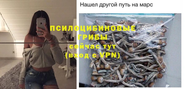 бошки Алзамай
