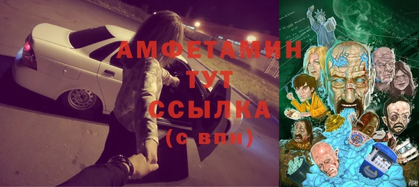 хмурый Аркадак