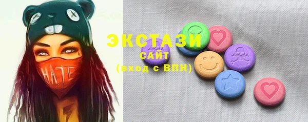 хмурый Аркадак