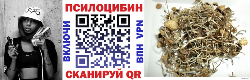 Галлюциногенные грибы GOLDEN TEACHER  Пласт 